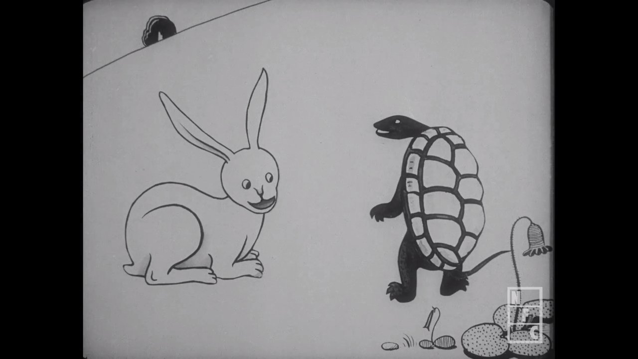 Backdrop image for movie The Hare and the Tortoise