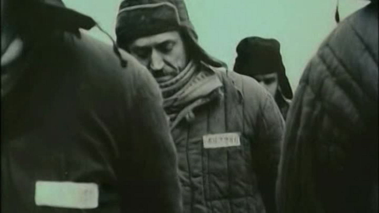 Backdrop image for movie Faithful Ruslan: History of the Guard Dog