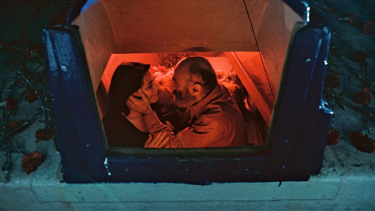 Backdrop image for movie Gaza Mon Amour