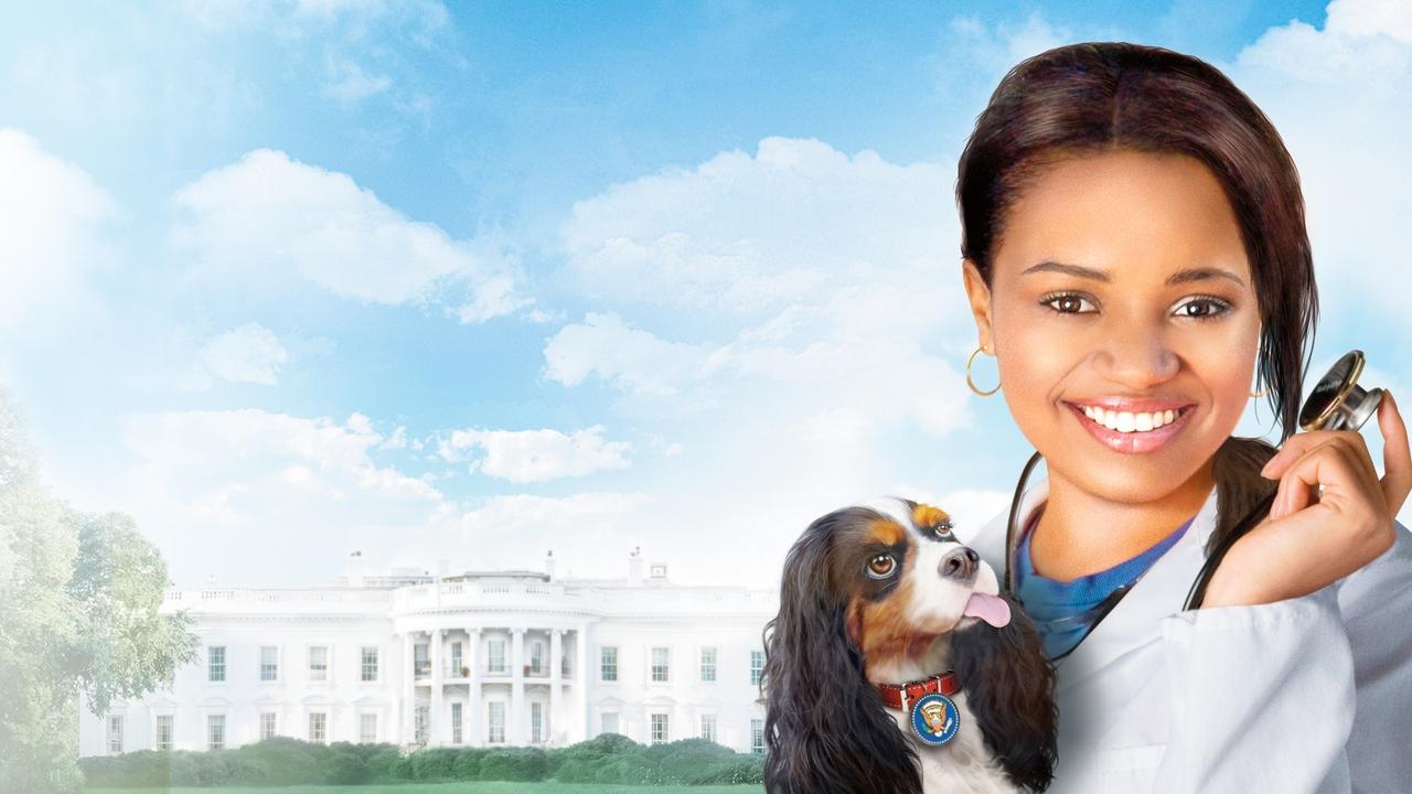 Backdrop image for movie Dr. Dolittle: Tail to the Chief