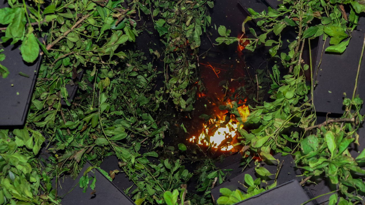 Backdrop image for movie Primeira FEIMATE: Feira da Erva-Mate e Processo Produtivo da Erva-Mate - Historiando em Novo Barreiro