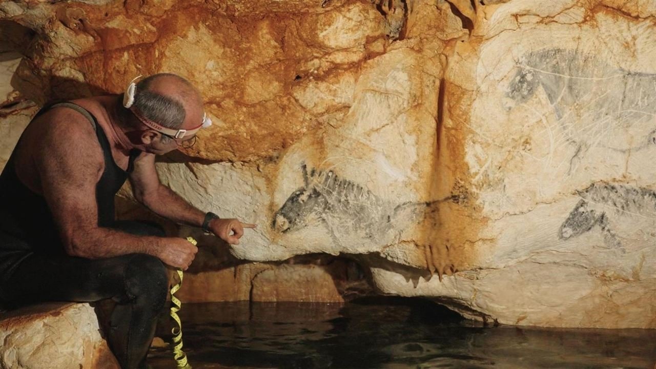Backdrop image for movie La Grotte Cosquer, un chef-d'œuvre en sursis