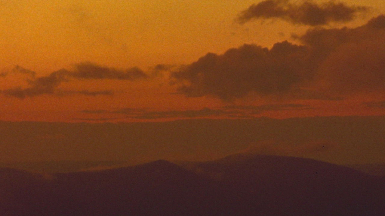 Backdrop image for movie Starlight