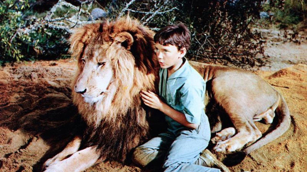 Backdrop image for movie The Lion