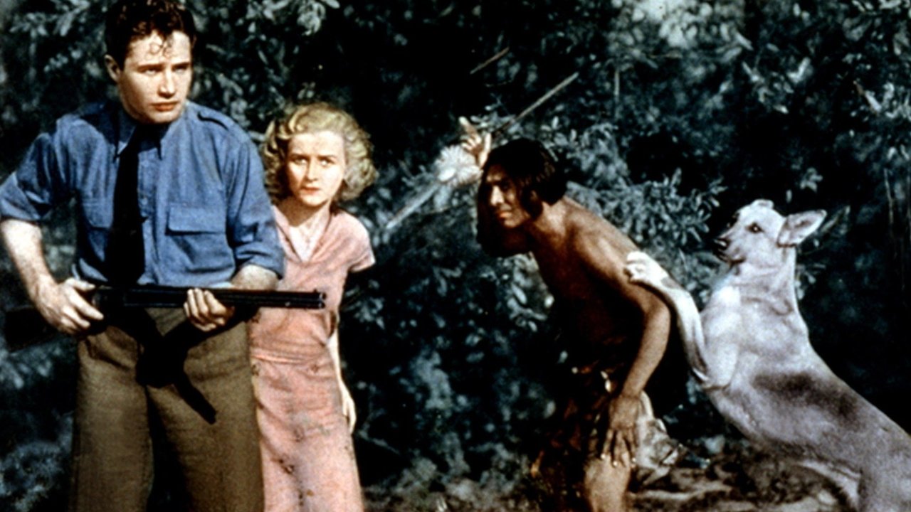 Backdrop image for movie The Flaming Signal