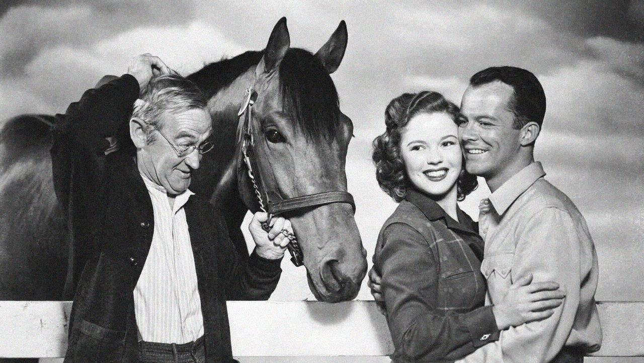 Backdrop image for movie The Story of Seabiscuit