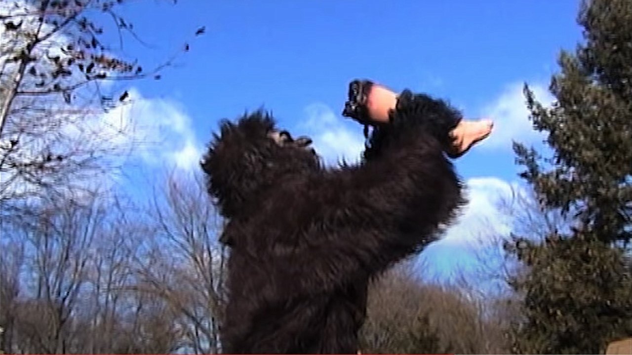 Backdrop image for movie Suburban Sasquatch