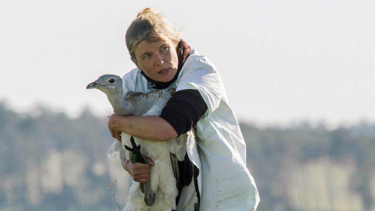 Backdrop image for movie Glorious Bustards