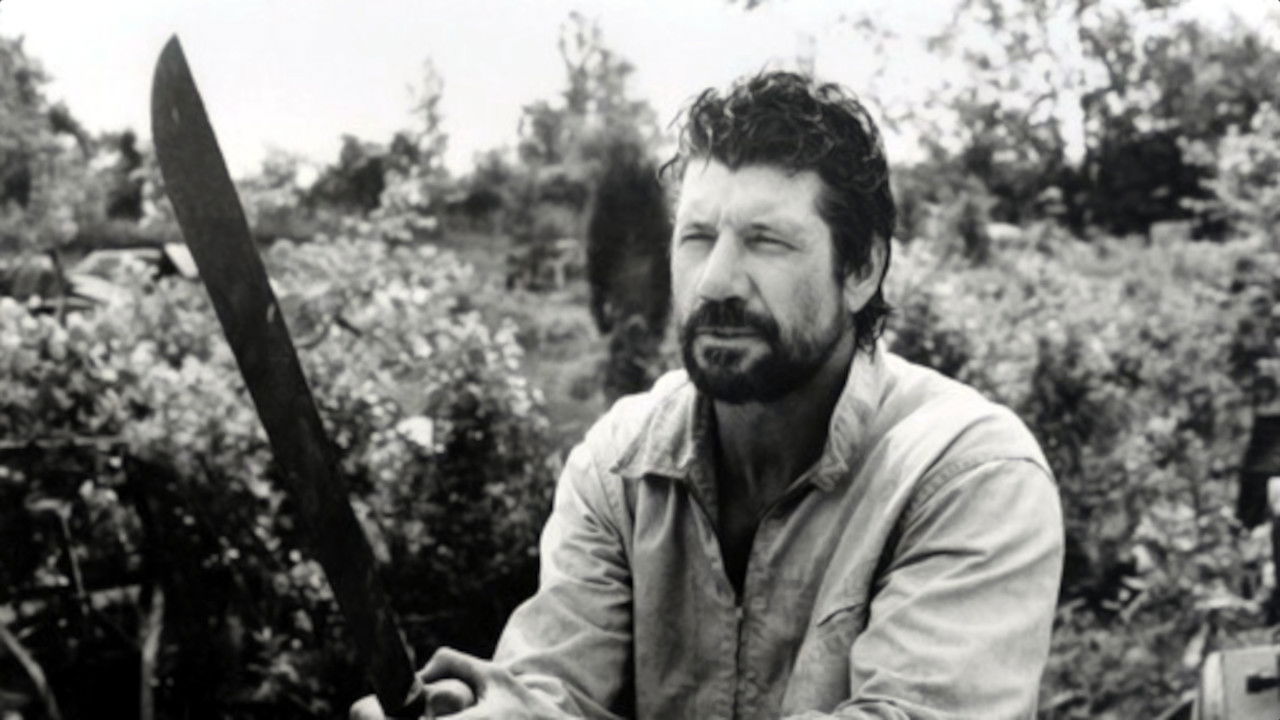 Backdrop image for movie Florida Straits