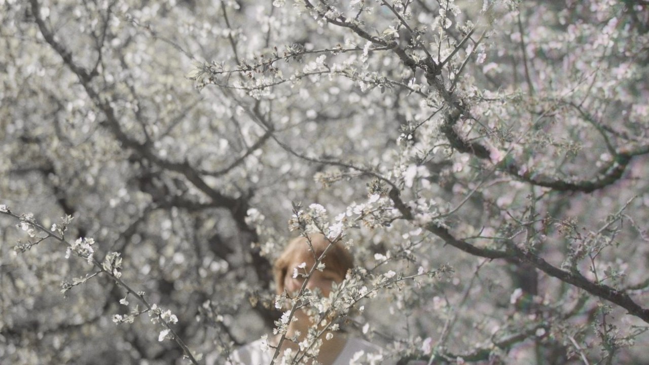 Backdrop image for movie Back to the light