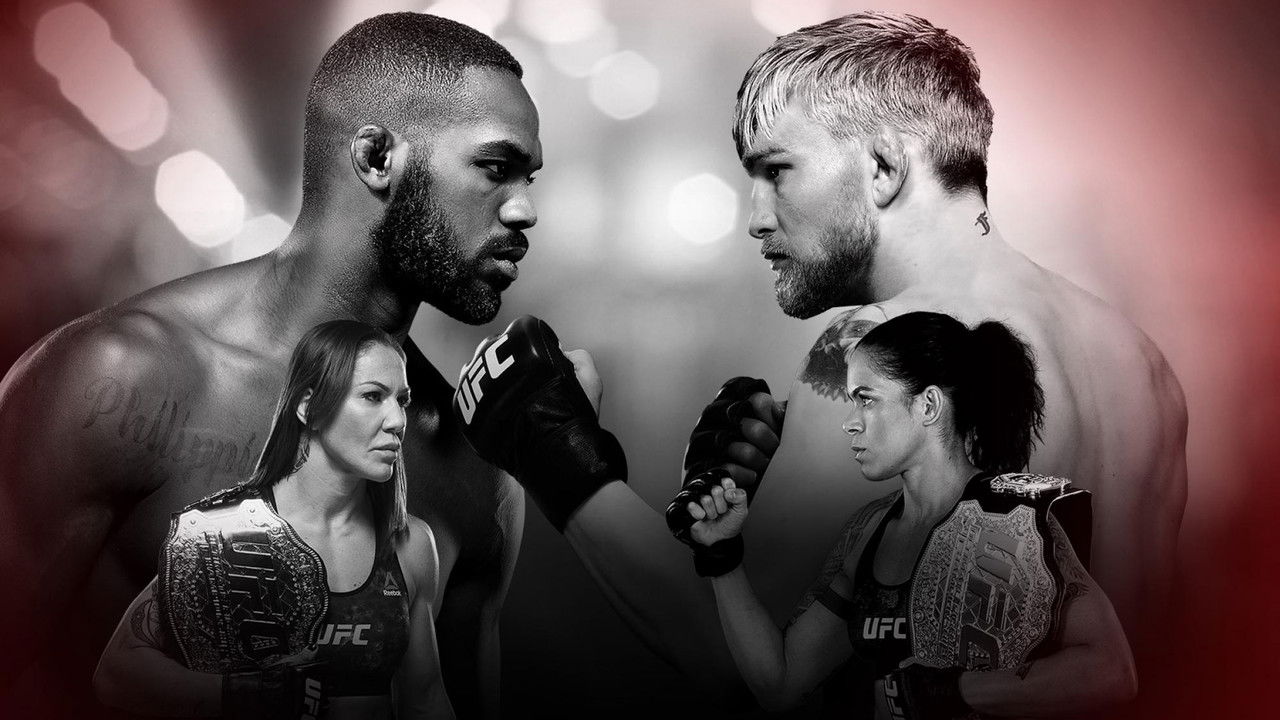 Backdrop image for movie UFC 232: Jones vs. Gustafsson 2