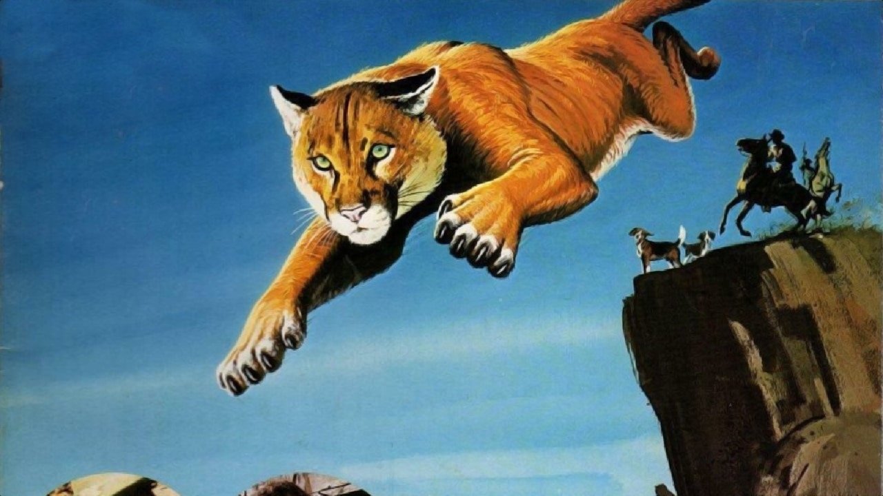 Backdrop image for movie Run, Cougar, Run