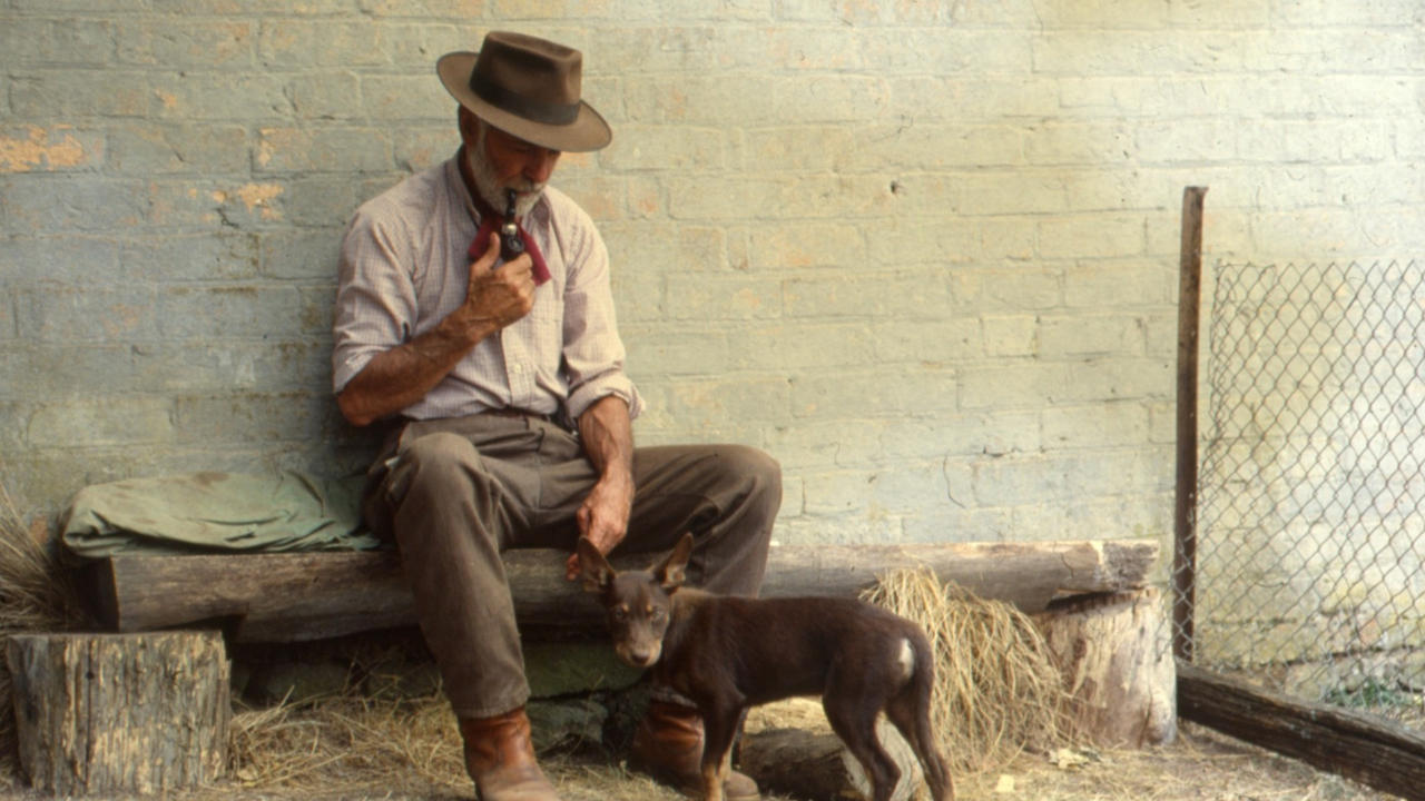 Backdrop image for movie Dusty
