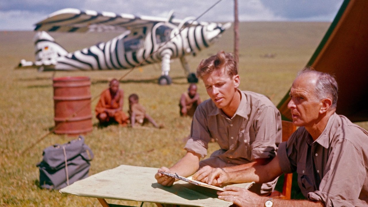 Backdrop image for movie Kein Platz für wilde Tiere