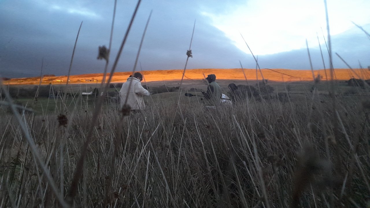 Backdrop image for movie INSIDE: Narrative of Our Journey