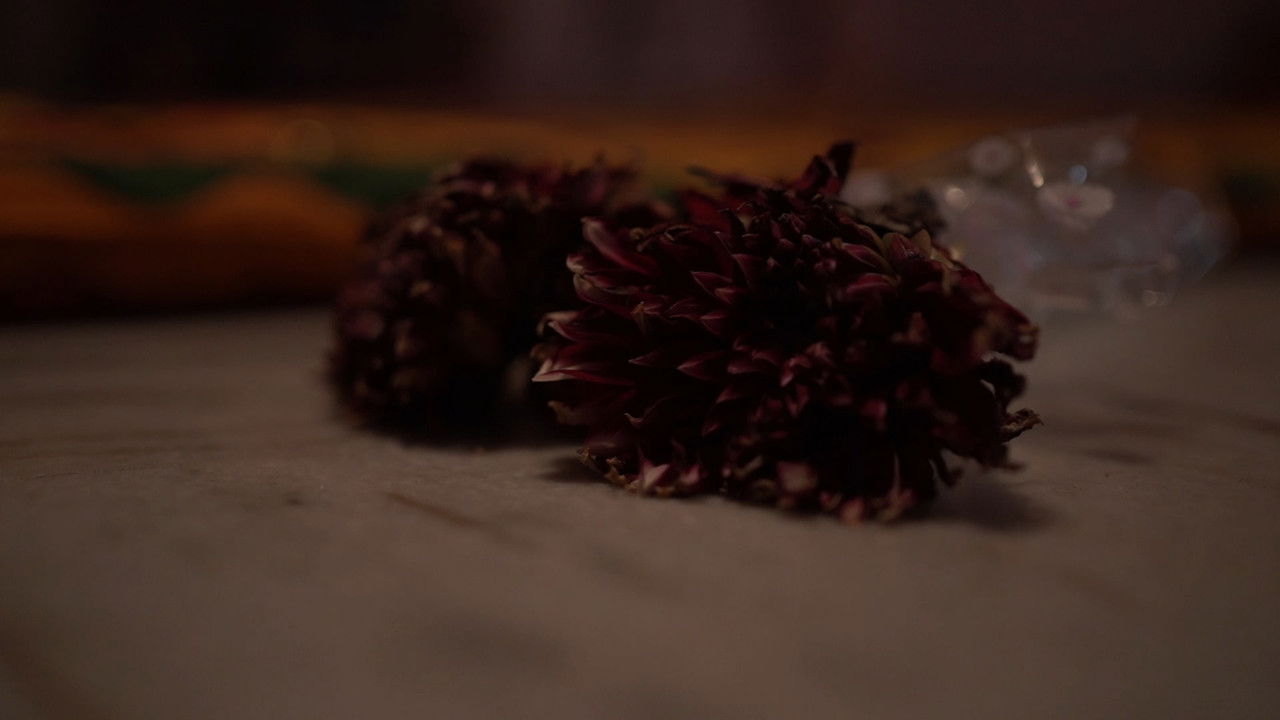 Backdrop image for movie The Silent Scream