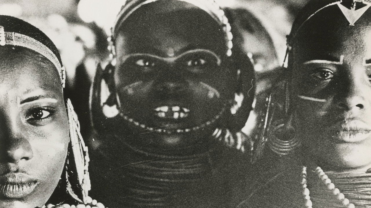 Backdrop image for movie Ecco