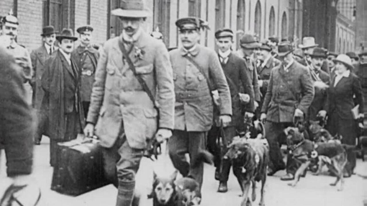 Backdrop image for movie Red Cross Dogs