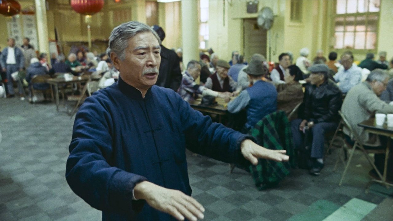 Backdrop image for movie Pushing Hands