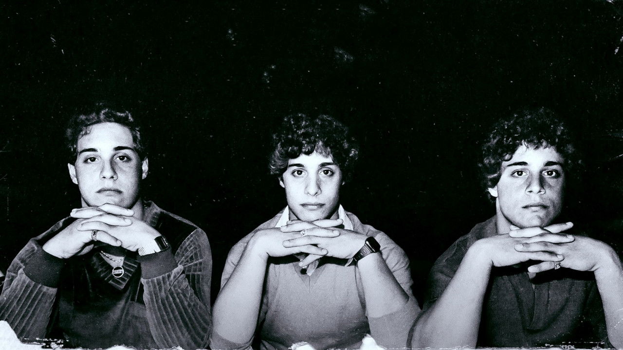 Backdrop image for movie Three Identical Strangers