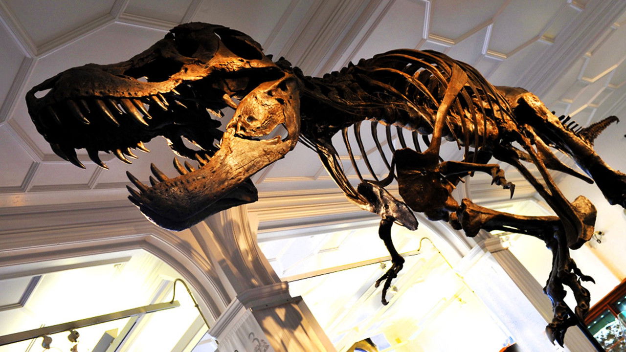 Backdrop image for movie How to Build a Dinosaur