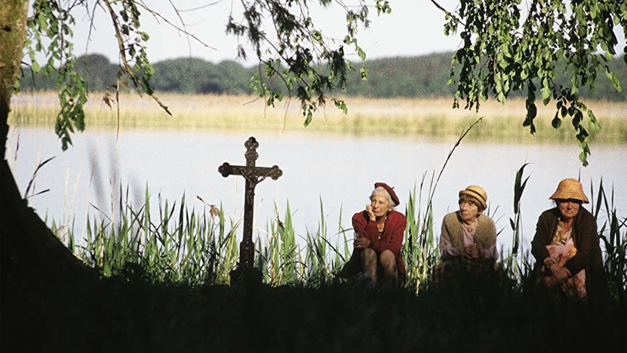 Backdrop image for movie Now or Never
