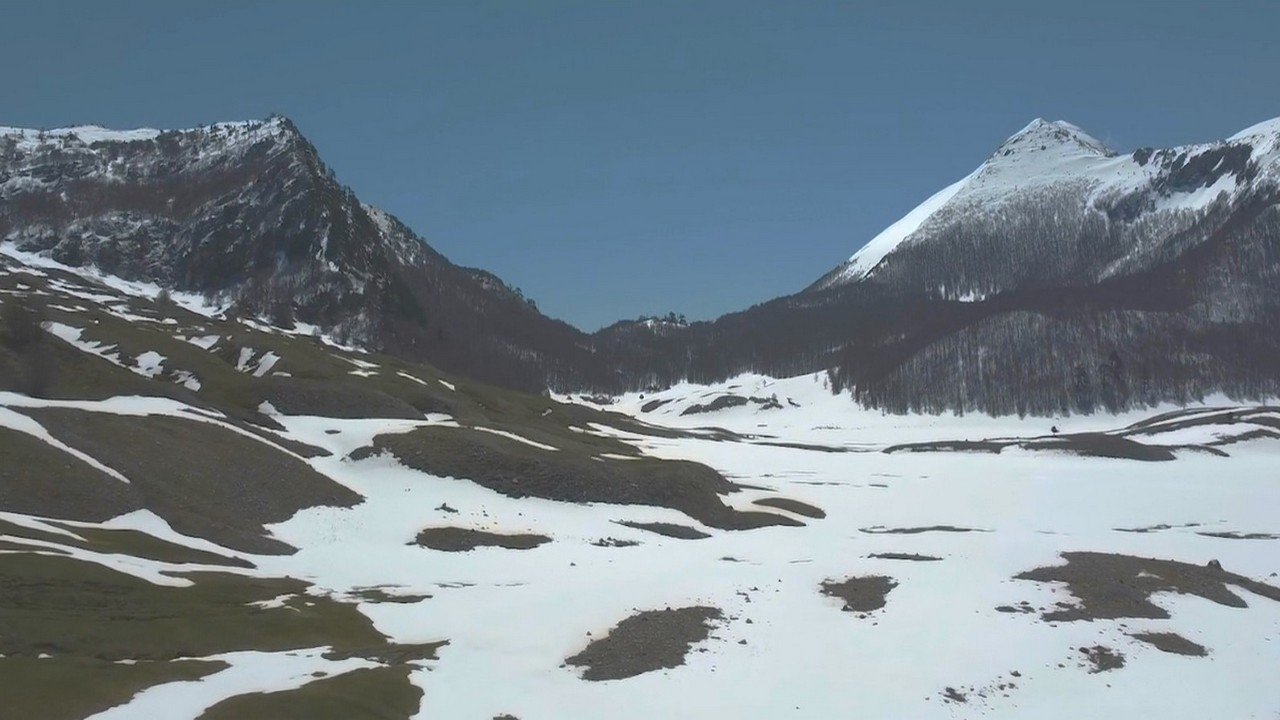 Backdrop image for movie Linea 7000