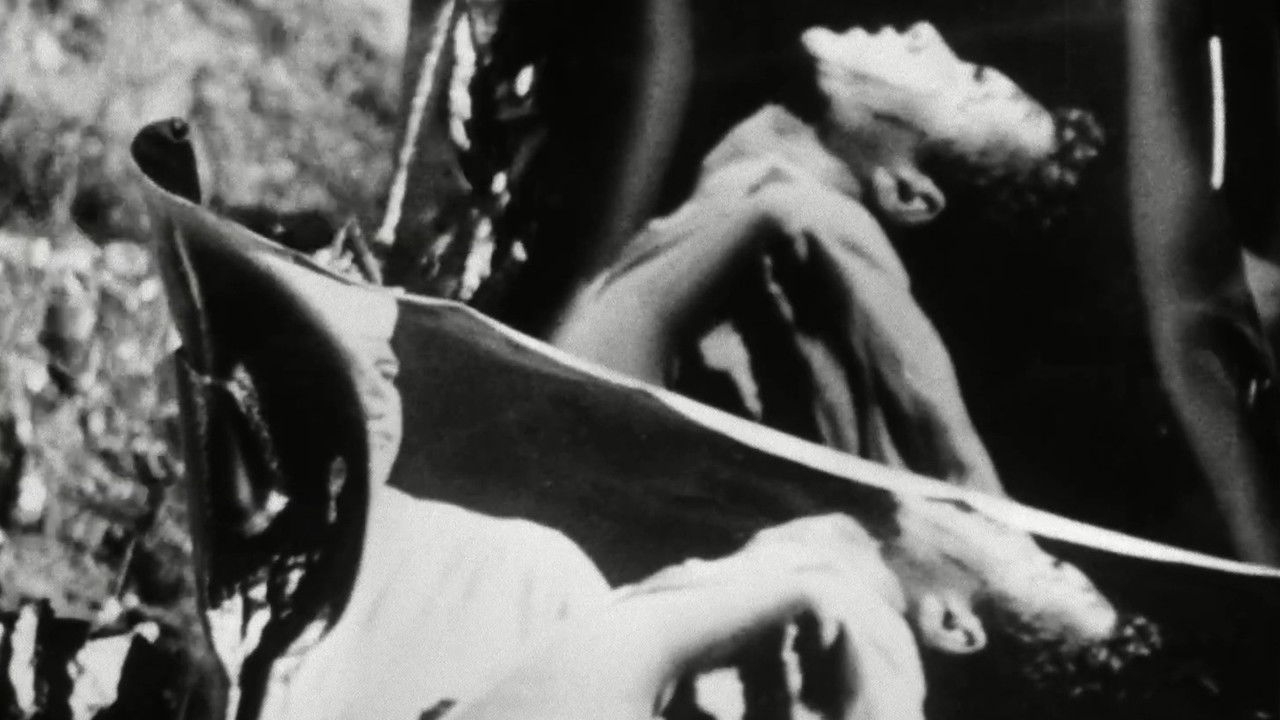 Backdrop image for movie Fireworks