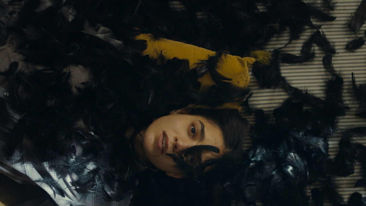 Backdrop image for movie All the World Is Sleeping