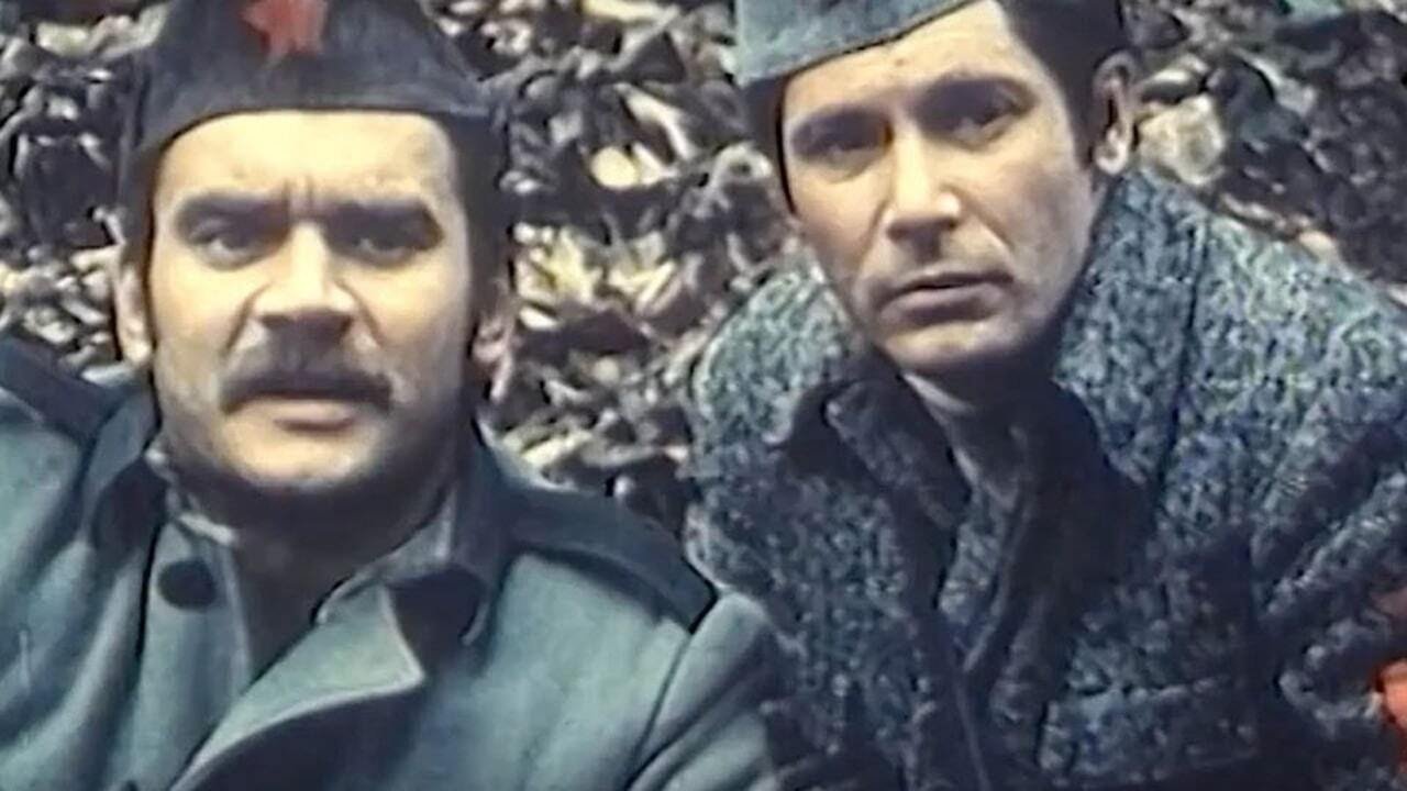 Backdrop image for movie The Pine Tree in the Mountain