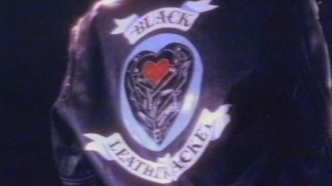 Backdrop image for movie Black Leather Jacket