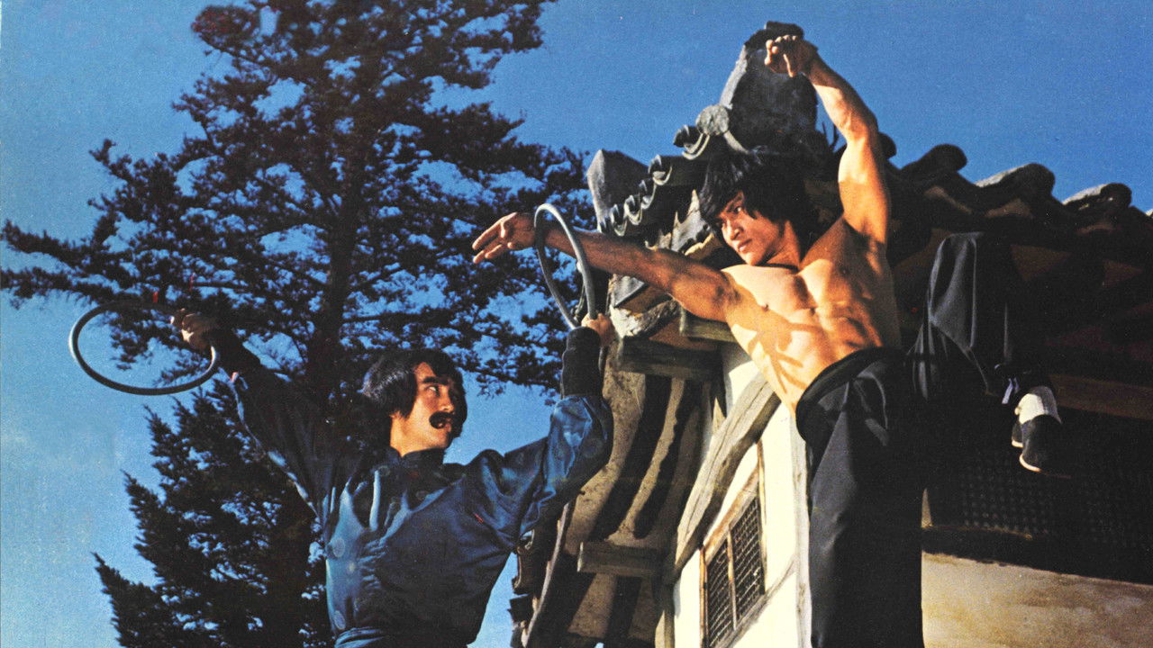 Backdrop image for movie The Dragon's Snake Fist