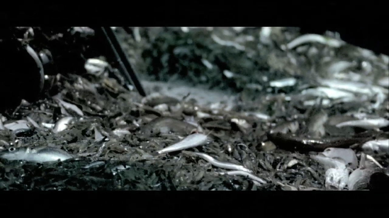 Backdrop image for movie Nachtwake