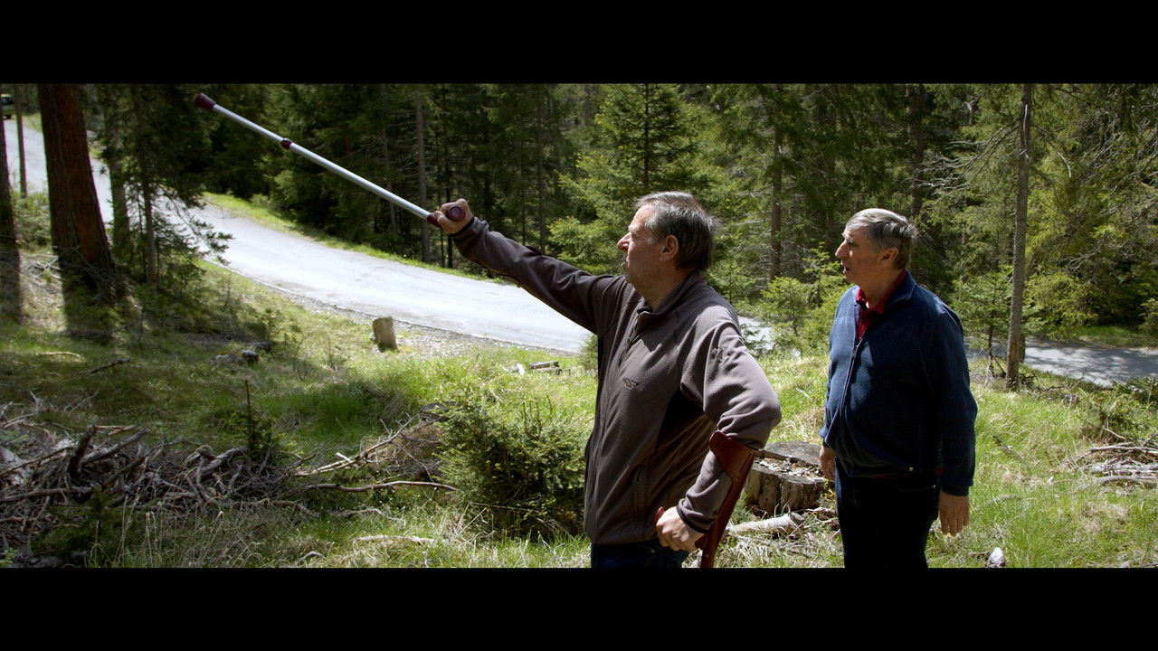 Backdrop image for movie Herbstfeuer