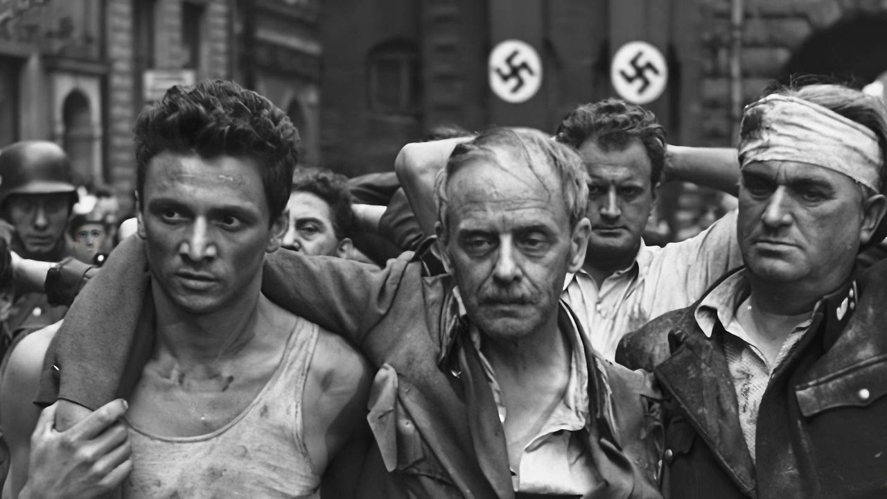 Backdrop image for movie Free City