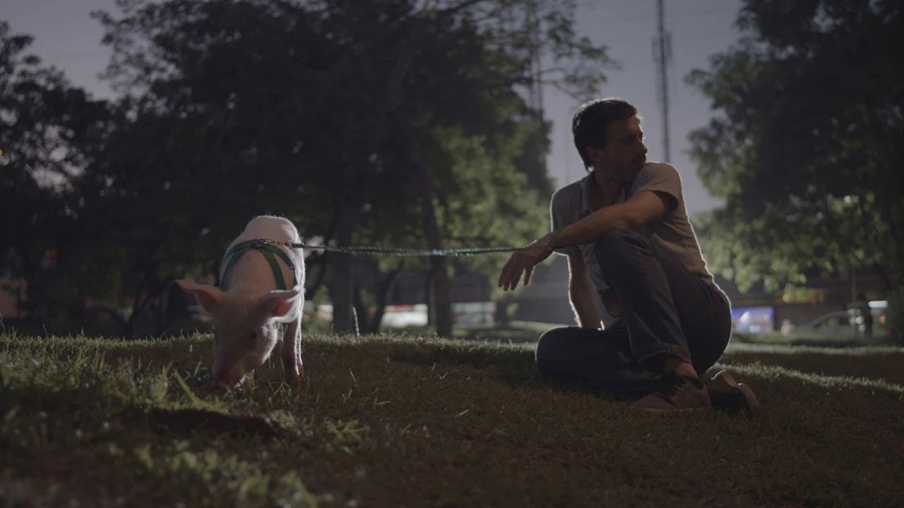 Backdrop image for movie Homecoming Ghost