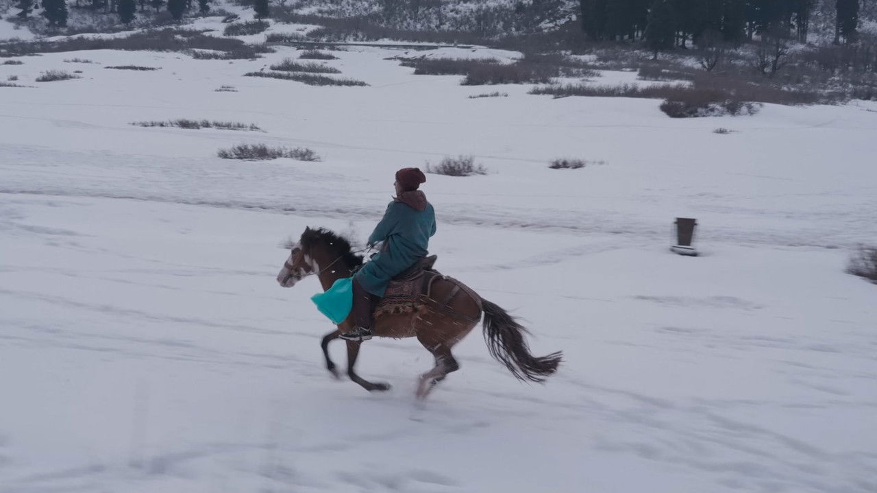 Backdrop image for movie Óbur