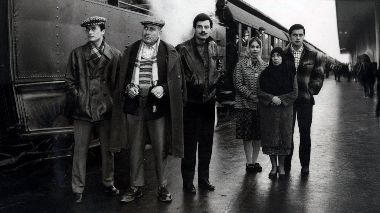 Backdrop image for movie Birds of Exile