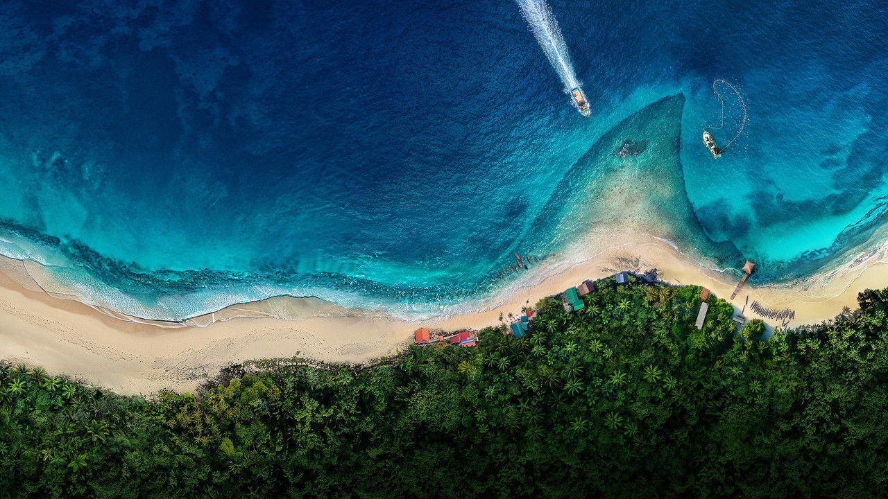 Backdrop image for movie Great White Serial Killer: Sea of Blood