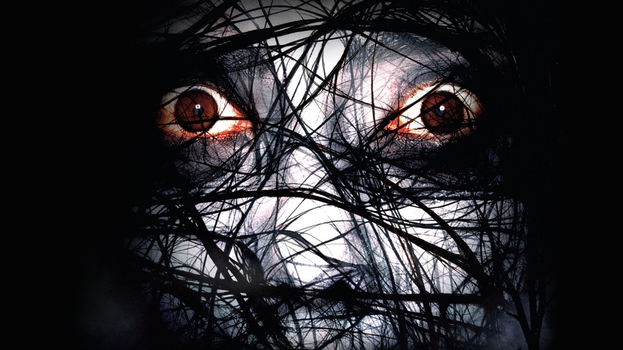 Backdrop image for movie The Grudge 2