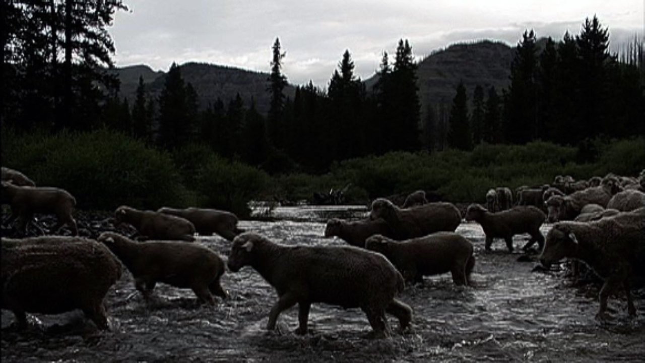 Backdrop image for movie Hell Roaring Creek