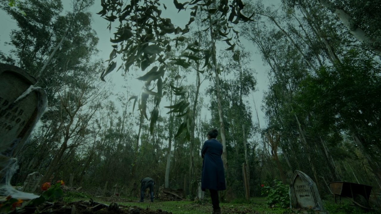 Backdrop image for movie Exhumación