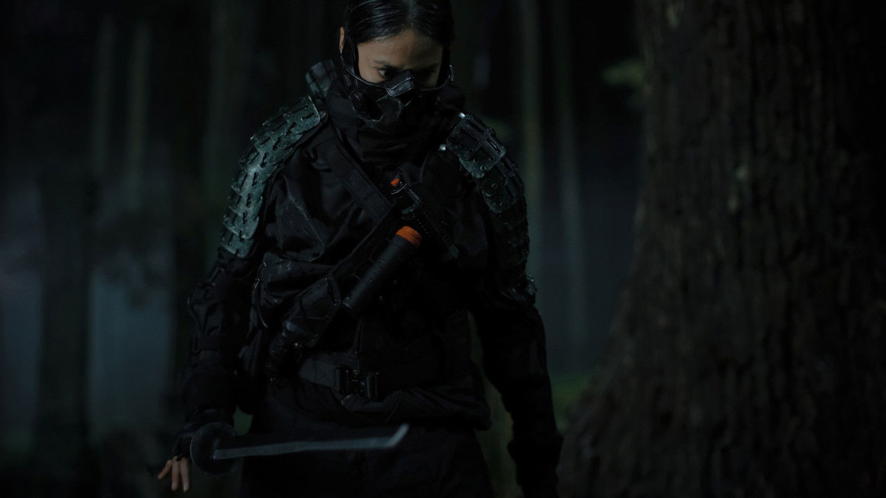 Backdrop image for movie The Shadow Strays