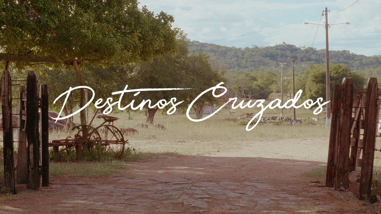 Backdrop image for movie Destinos Cruzados