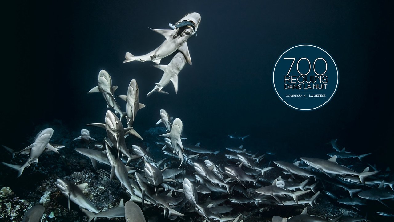 Backdrop image for movie 700 Sharks (Gombessa 4, Genesis)