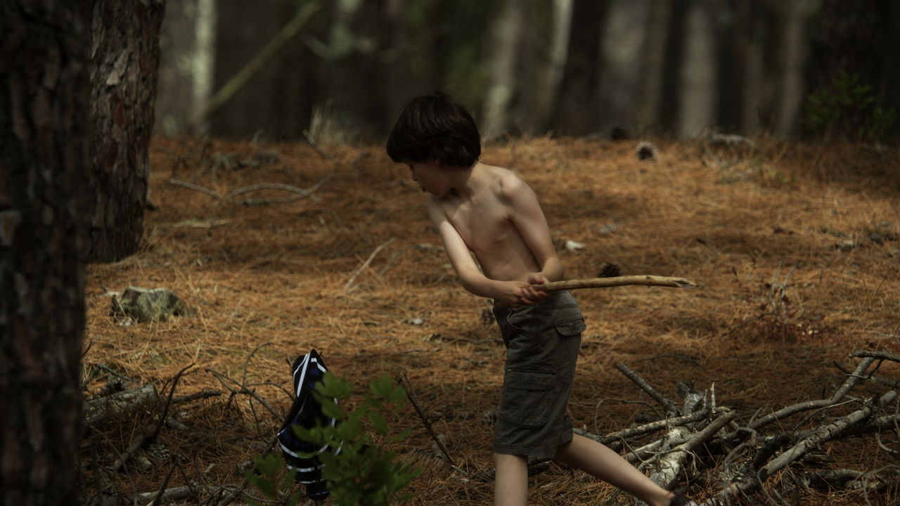 Backdrop image for movie The Swimming Trunks