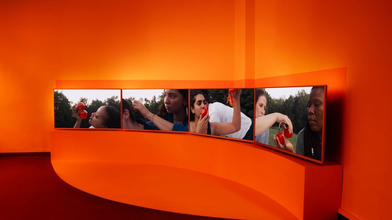 Backdrop image for movie Tomatoes
