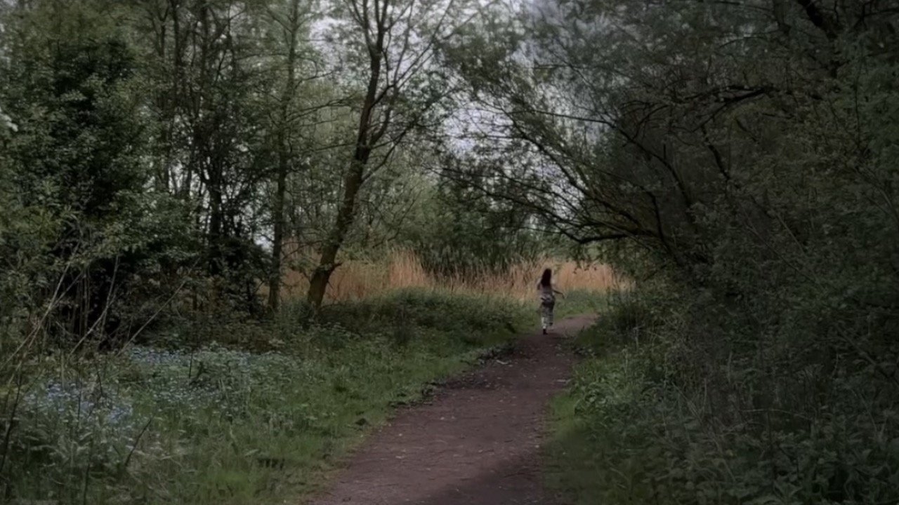 Backdrop image for movie The Missing