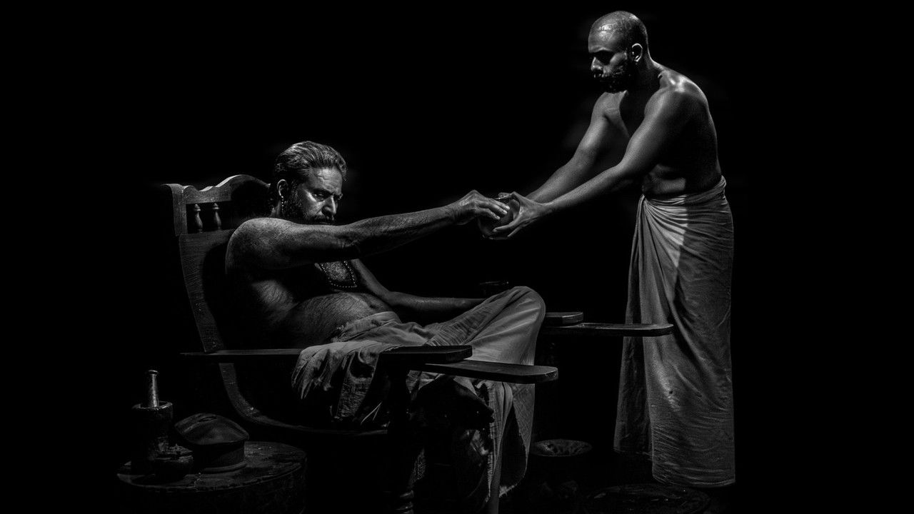 Backdrop image for movie Bramayugam