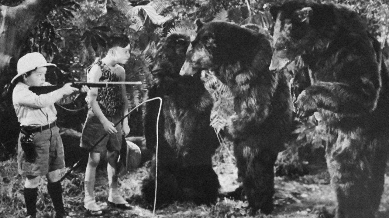 Backdrop image for movie Bear Facts